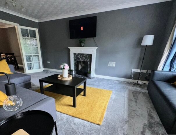 Central Spacious Flat (3)